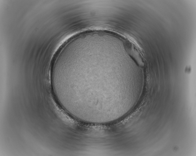 X0000093460934200710261017