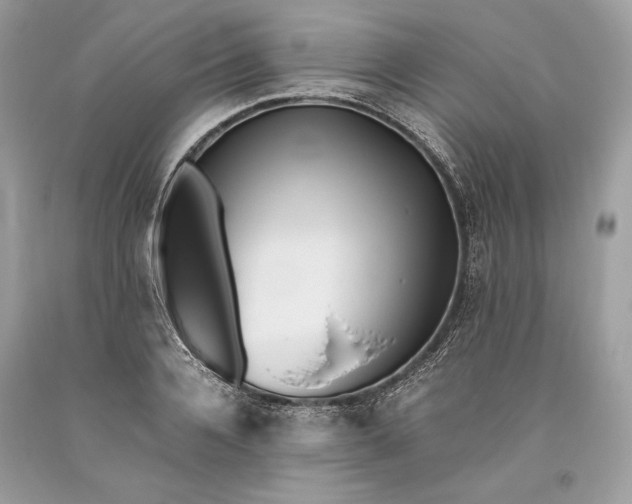 X0000093460936200710261017