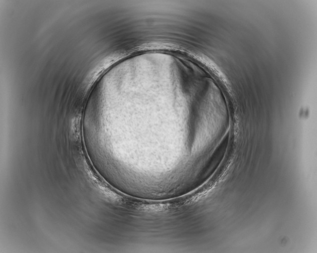 X0000093460937200710261017