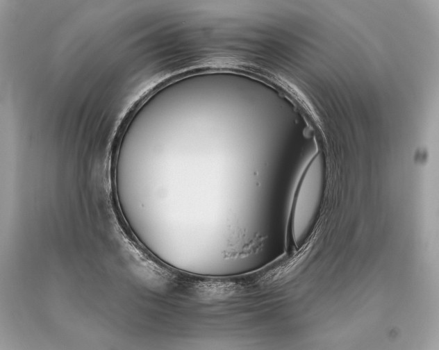 X0000093460939200710261017