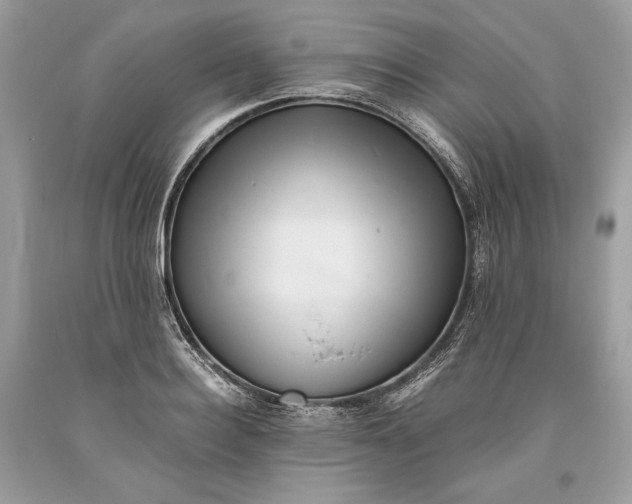 X0000093460940200710261017