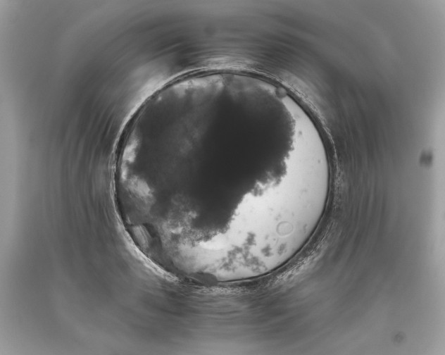 X0000093460941200710261017