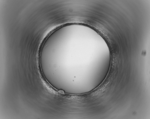 X0000093460942200710261017