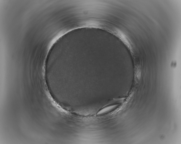 X0000093460944200710261017