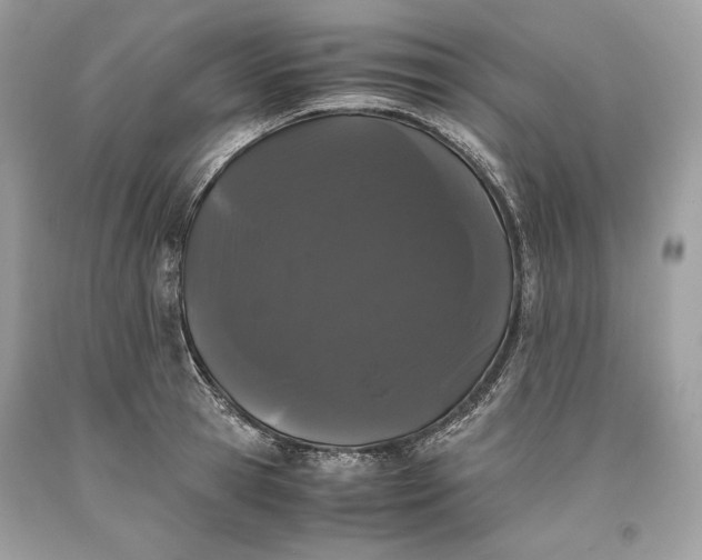 X0000093460945200710261017