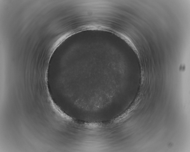 X0000093460946200710261017