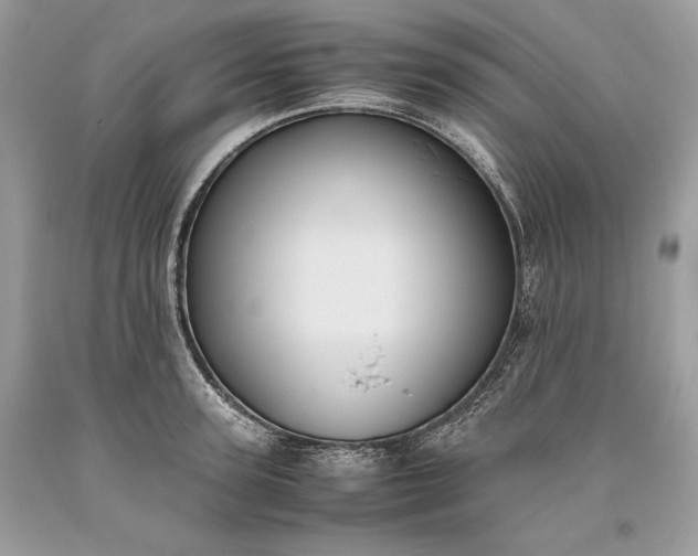 X0000093460947200710261017