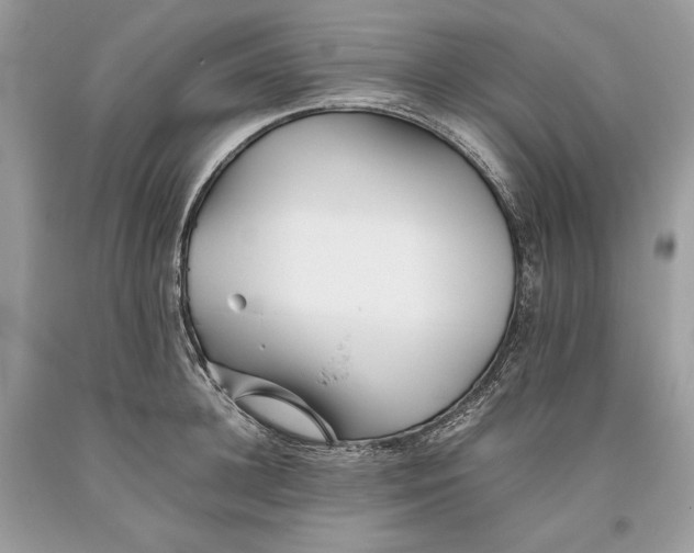 X0000093460948200710261018