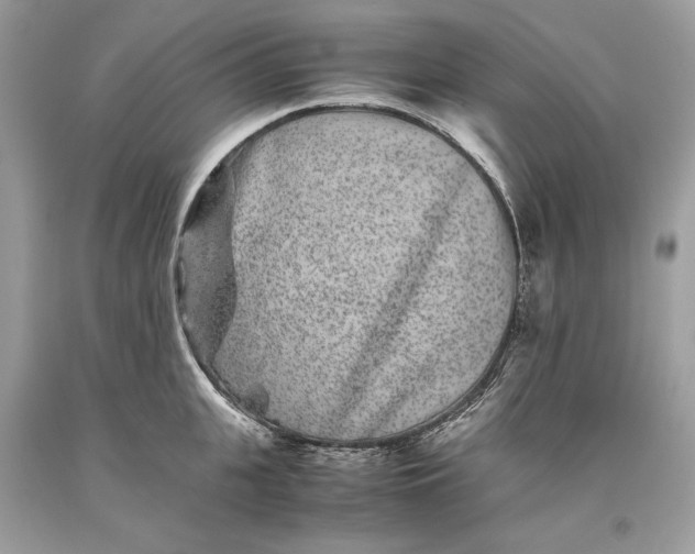 X0000093460951200710261018