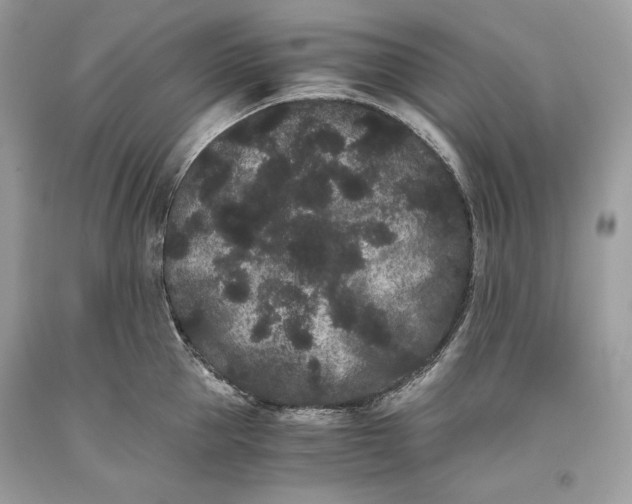 X0000093460953200710261018