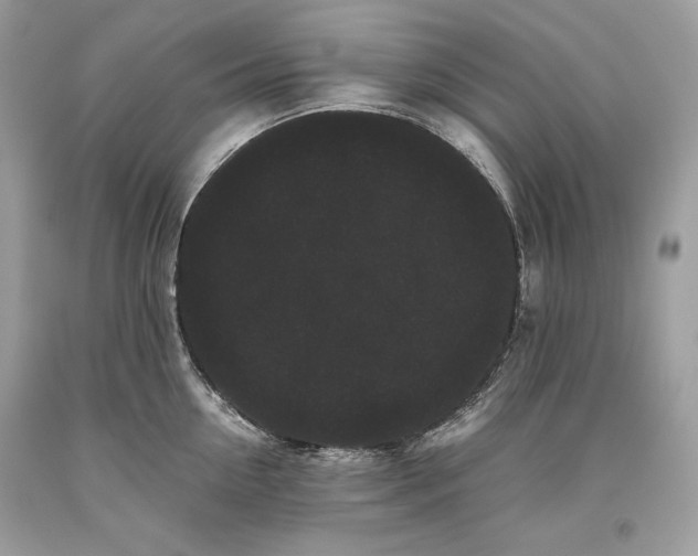 X0000093460954200710261018