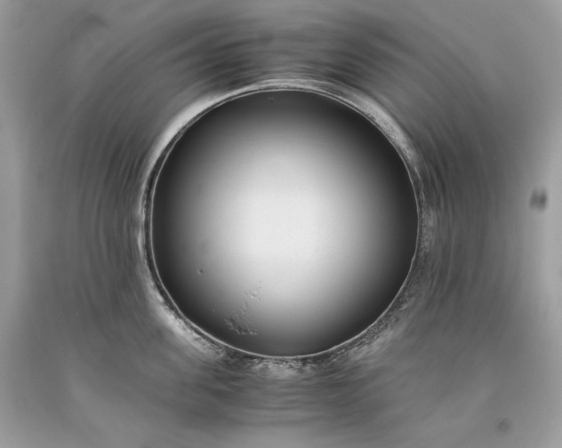 X0000093460955200710261018