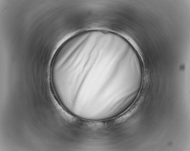 X0000093460957200710261018