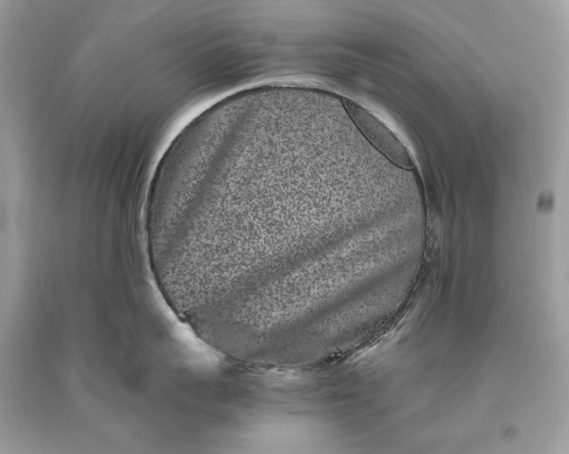 X0000093460959200710261018