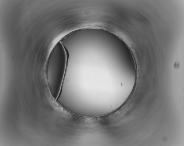 X0000093460960200710261018