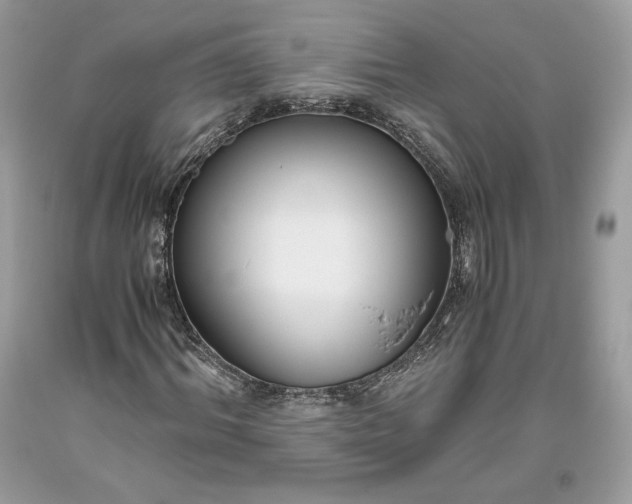 X0000093460964200710261017