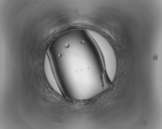 X0000093460965200710261017