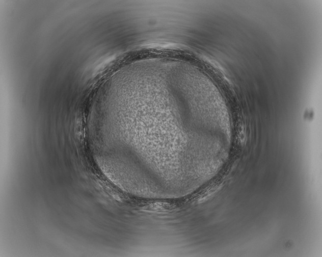 X0000093460966200710261017