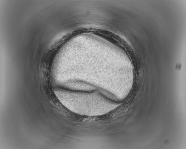 X0000093460967200710261017