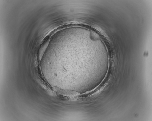 X0000093460969200710261017