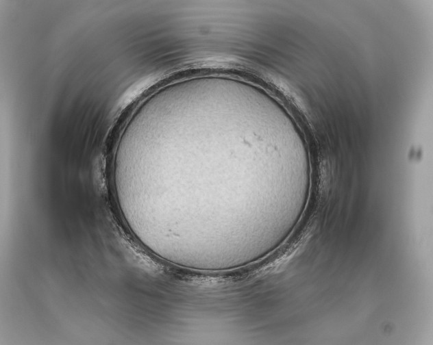 X0000093460970200710261017