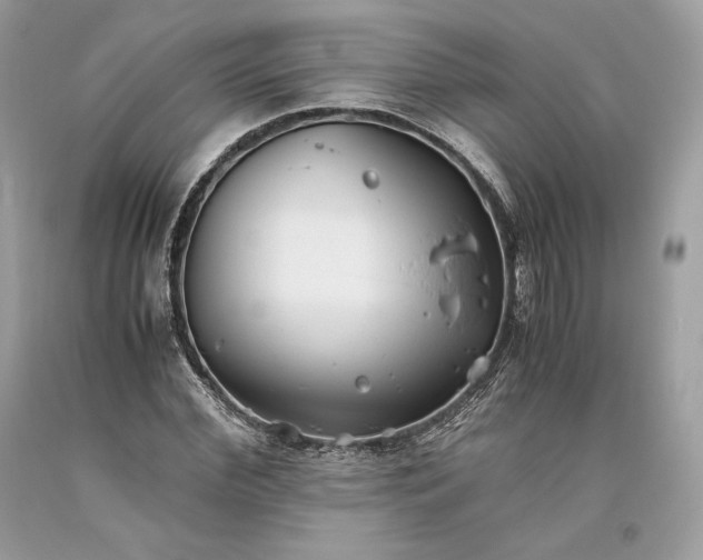 X0000093460972200710261017