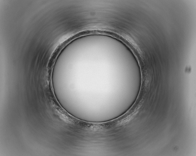 X0000093460974200710261017