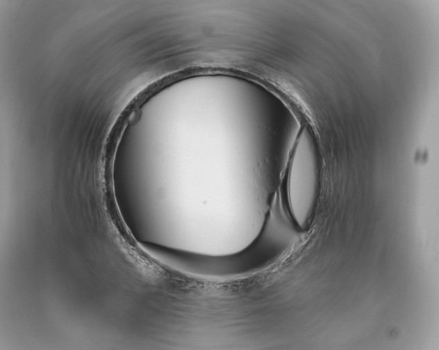 X0000093460976200710261017