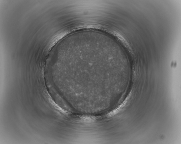 X0000093460977200710261017