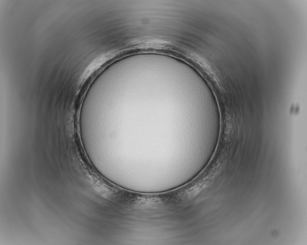 X0000093460978200710261017