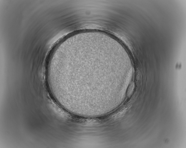 X0000093460979200710261017