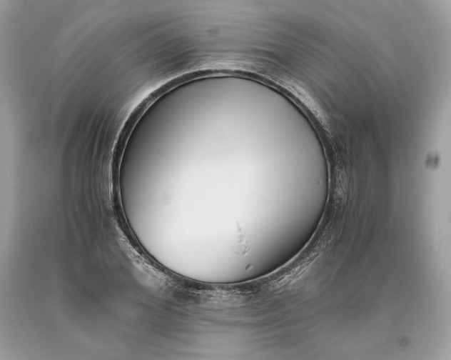 X0000093460980200710261017