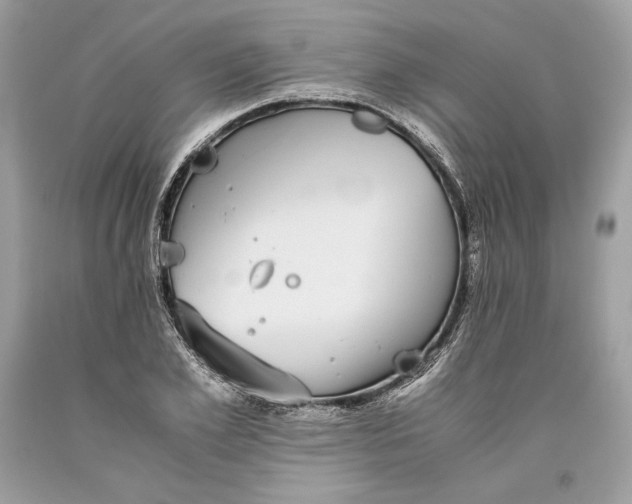 X0000093460981200710261017