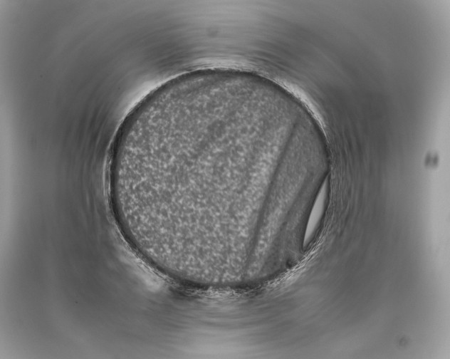 X0000093460983200710261017