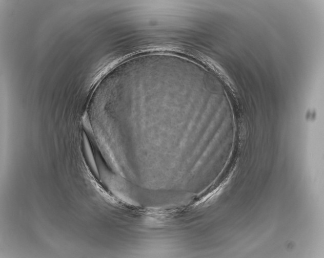 X0000093460985200710261017