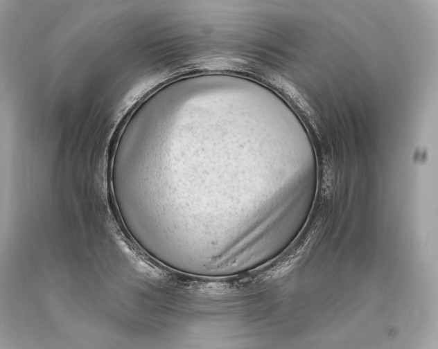 X0000093460986200710261017