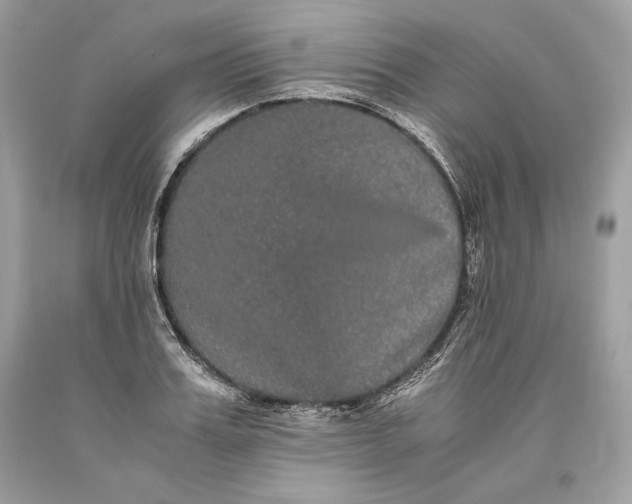 X0000093460987200710261017