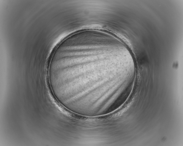 X0000093460989200710261017