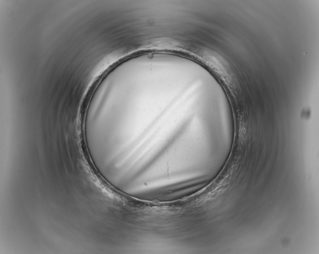 X0000093460990200710261017