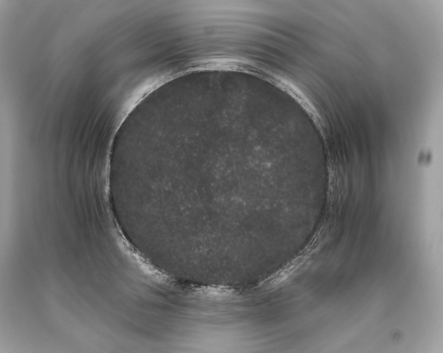 X0000093460994200710261017