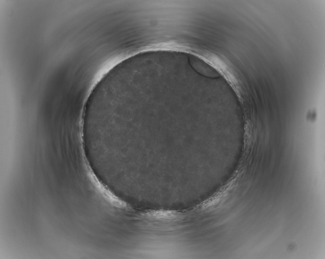 X0000093460998200710261016