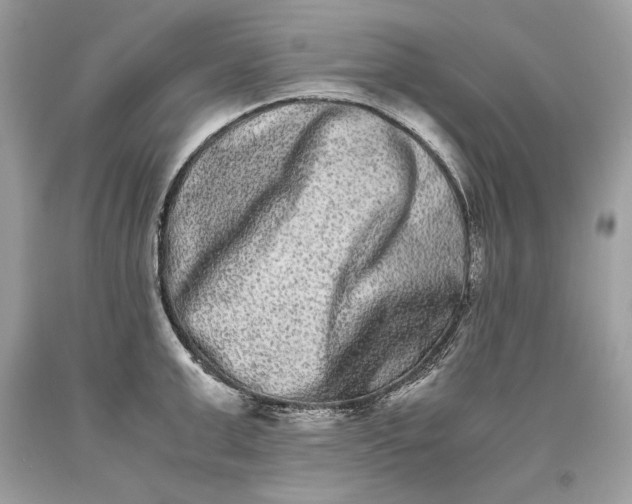 X0000093460999200710261016