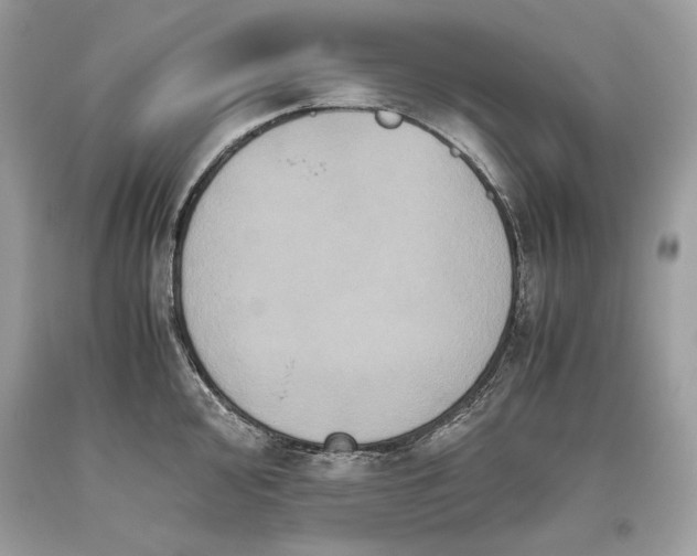 X0000093461000200710261016