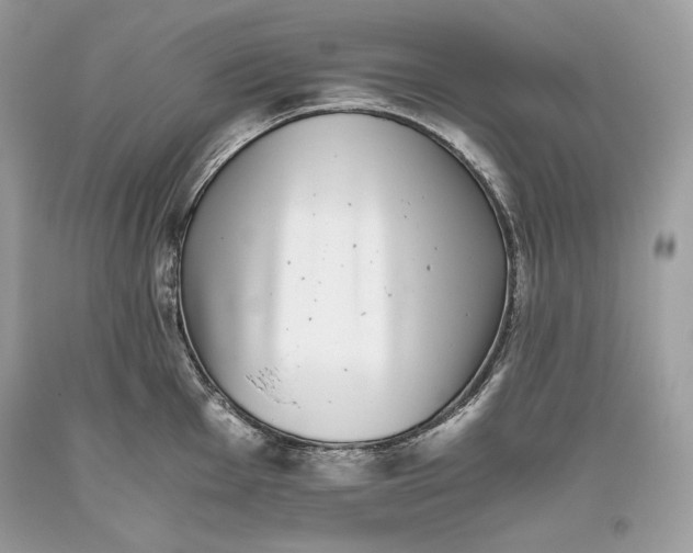 X0000093461001200710261016