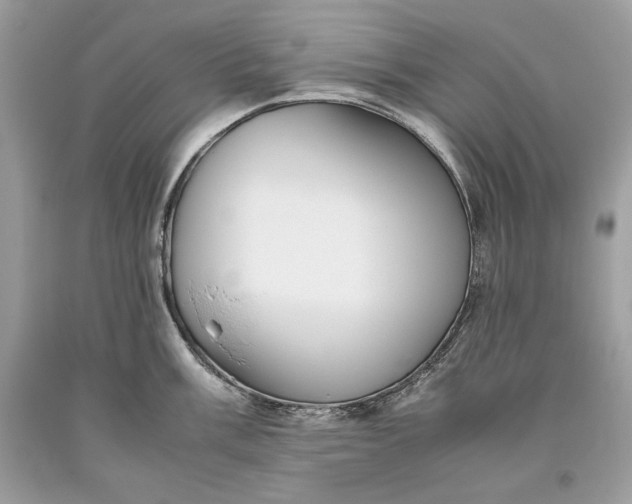 X0000093461003200710261016