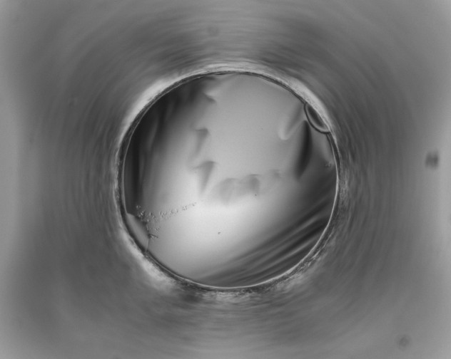 X0000093461005200710261016