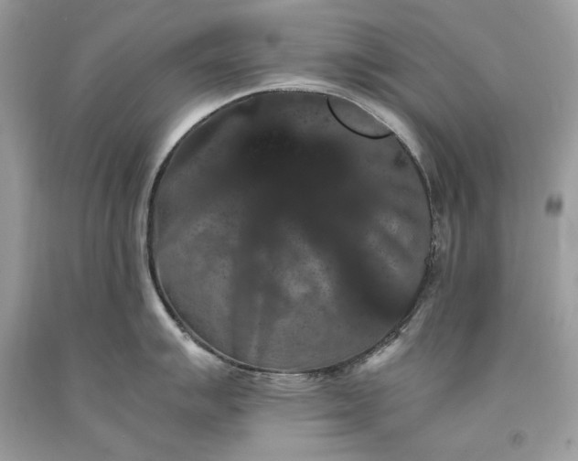 X0000093461007200710261016