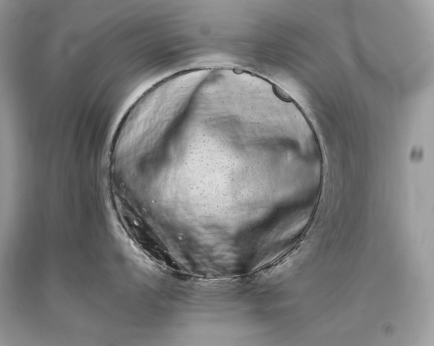 X0000093461008200710261016