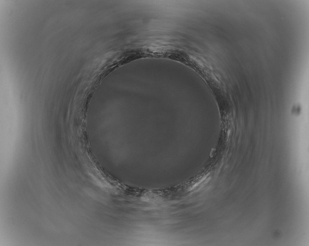 X0000093461009200710261016