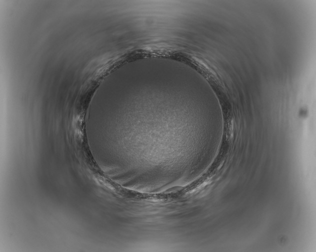 X0000093461010200710261016